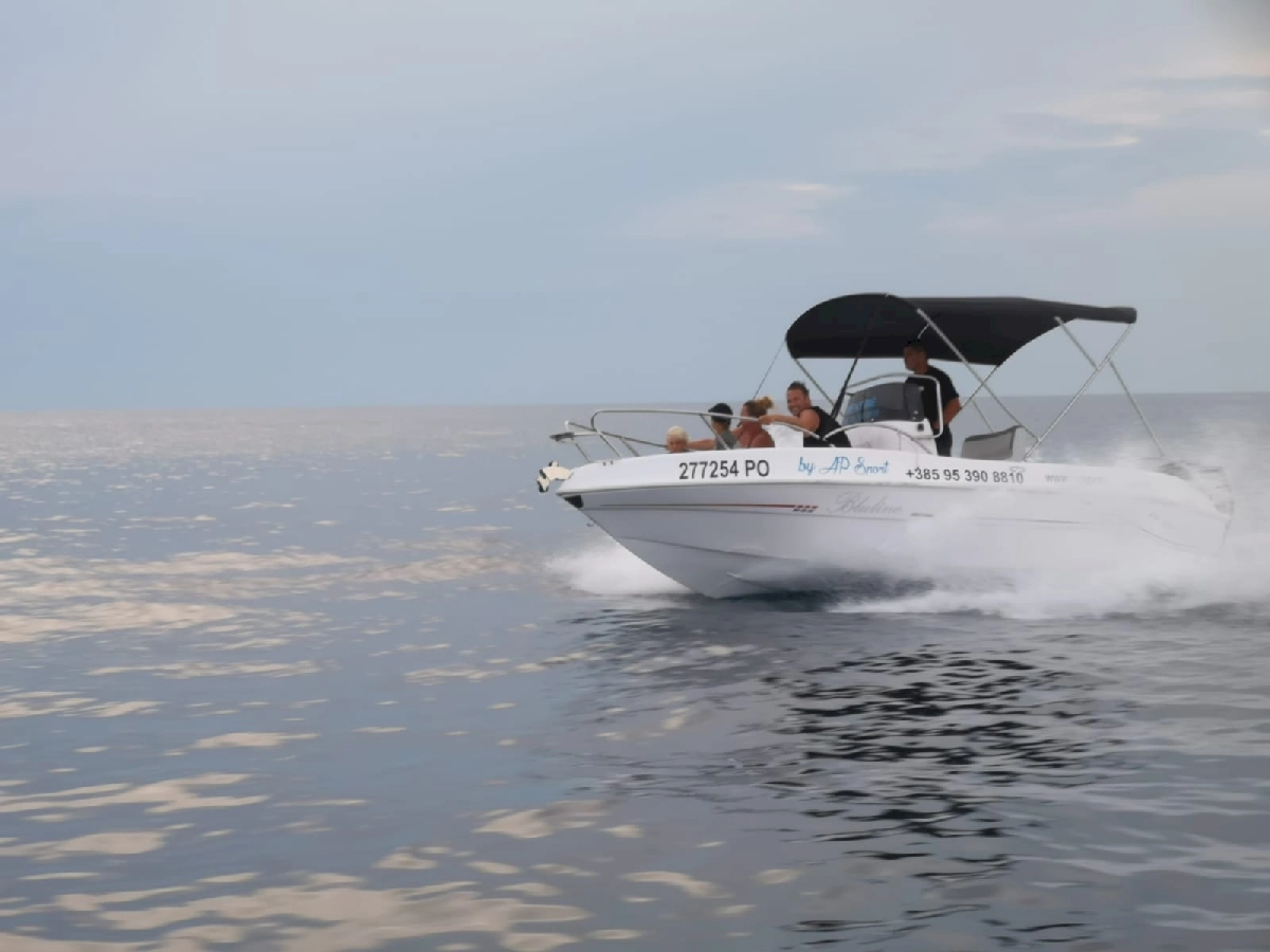 Fisherman blue line 115HP - picture 2